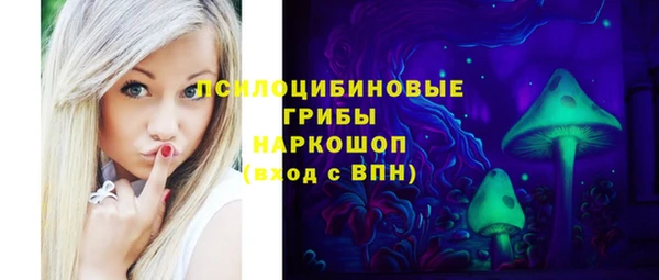 молекула духа Зеленодольск