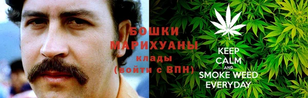 молекула духа Зеленодольск