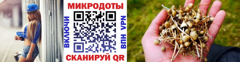 Галлюциногенные грибы ЛСД  мега маркетплейс  Саянск  где найти наркотики 