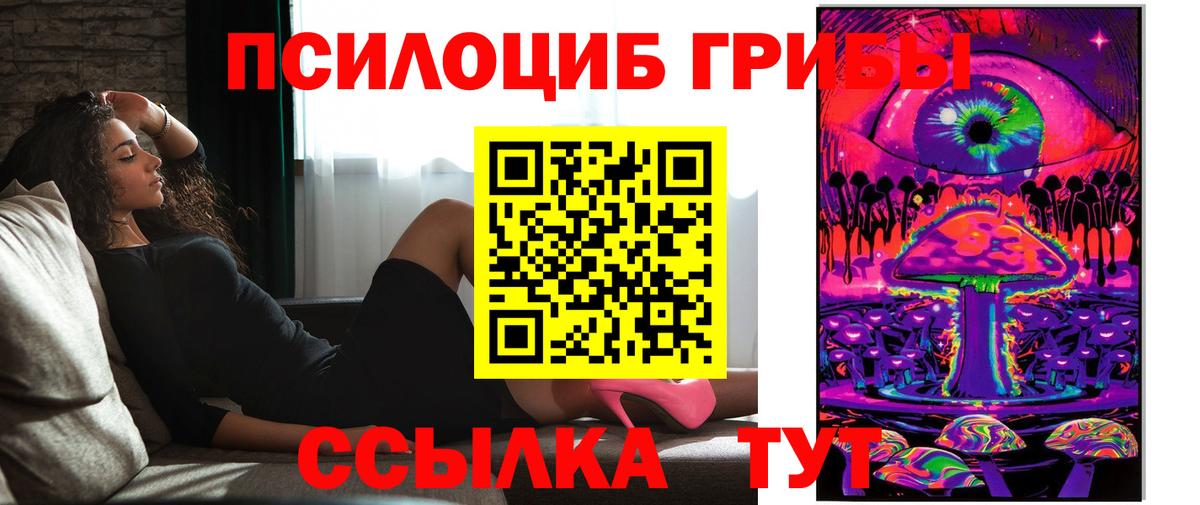 Псилоцибиновые грибы прущие грибы  Вход с VPN  Саянск  Псилоцибиновые грибы прущие грибы 