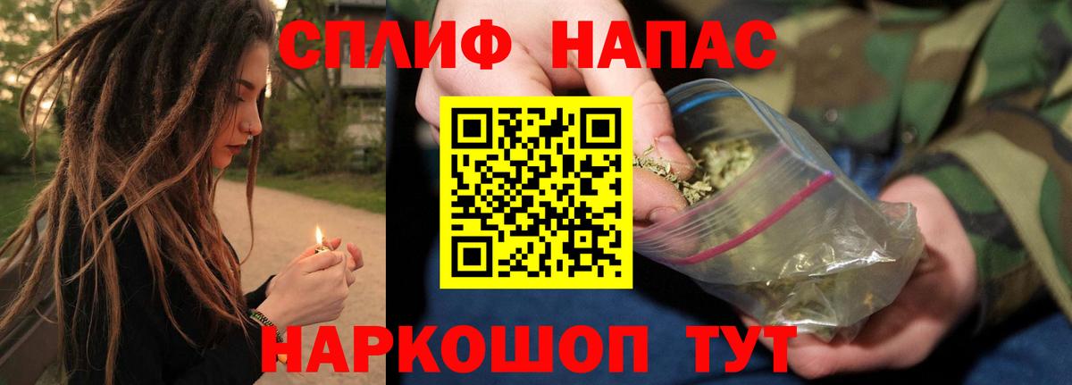 Бошки Шишки семена Саянск